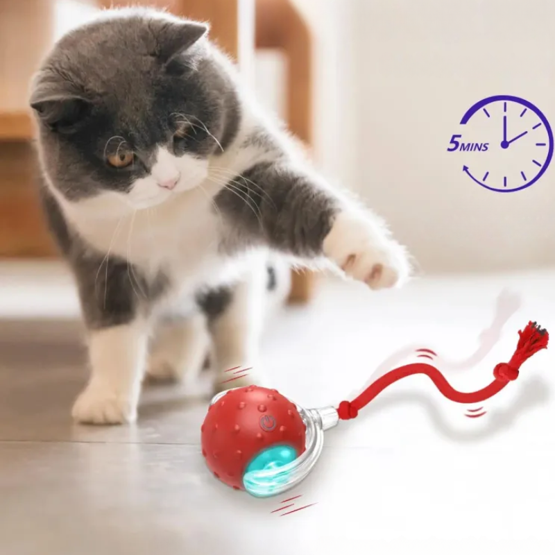 toys for cats