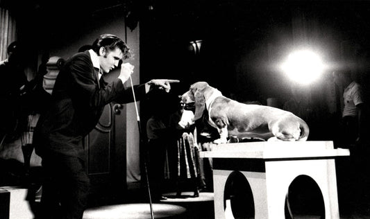 "Hound Dog" by Elvis Presley: The Song That Shook the World