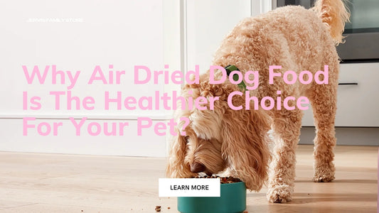 Why Air Dried Dog Food Is The Healthier Choice For Your Pet