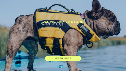 Dog Life Jackets - Ensuring Safety and Fun for Your Furry Friend