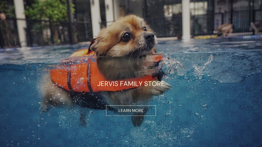 Dog Learning to Swim in a Life Jacket