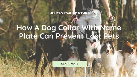 How A Dog Collar With Name Plate Can Prevent Lost Pets