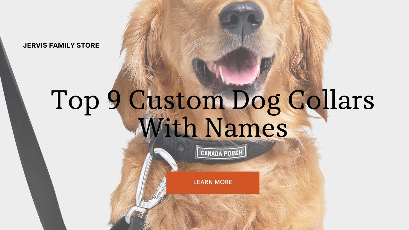 Discover Top 9 Custom Dog Collars With Names For Your Pet