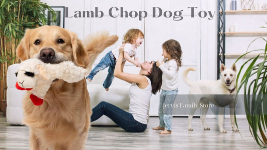 Reasons Lamb Chop Dog Toys Are the Best Gift for Your Pet