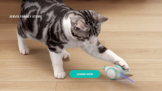 How Remote Control Cat Toy Keeps Your Cat Engaged for Hours!