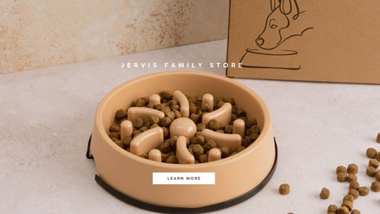 Everything You Need to Know About Slow Feeder Dog Bowls