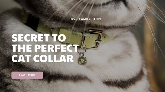 Unlock the Secret to the Perfect Cat Collar Your Pet Will Adore