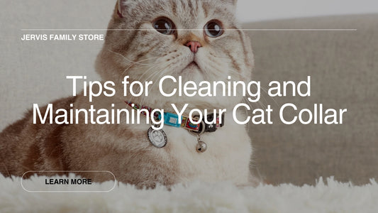 Tips and Ultimate Guide for Cleaning and Maintaining Your Cat Collar