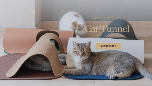 10+ Cat Tunnels That Will Keep Your Feline Entertained for Hours