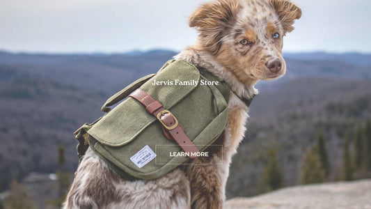 Are Dog Backpacks Safe? A Comprehensive Guide