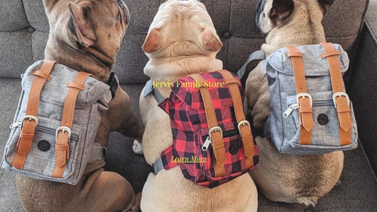 Top 5 Must-Have Dog Backpacks for Small Breeds