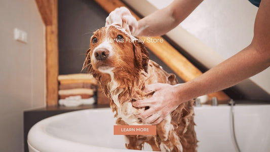 Relieve Your Pet's Allergies with the Best Dog Shampoo