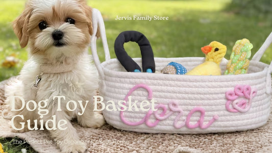 Dog Toy Basket - A Guide to Choosing and Using the Right One