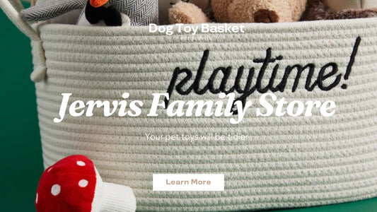 Top 5 Highly Rated Dog Toy Baskets By Pet Owners