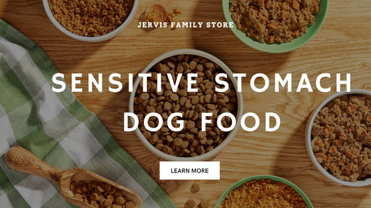 Top 5 Stores Offering the Best Sensitive Stomach Dog Food Options