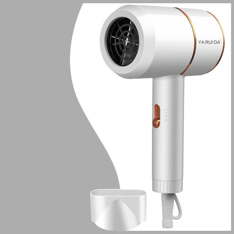 Intelligent Constant Temperature Hair Dryer