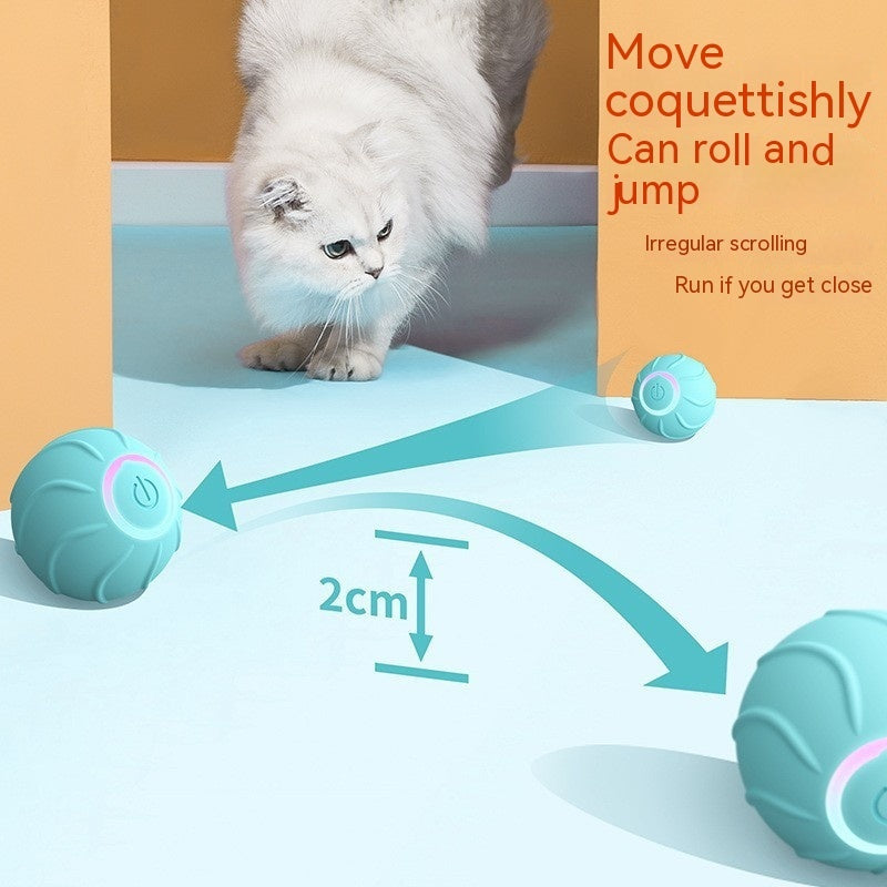 interactive cat toys