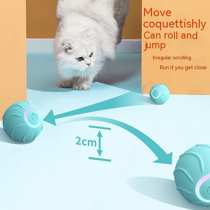 interactive cat toys