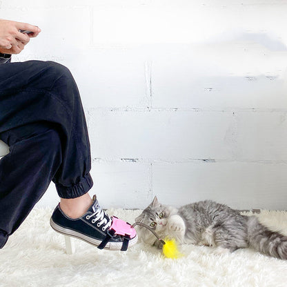 Relieve Pet's Anxiety with Multi-Functional Funny Cat Stick