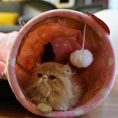 Rolling Dragon Cat Tunnel & Sleeping Bag for Cats