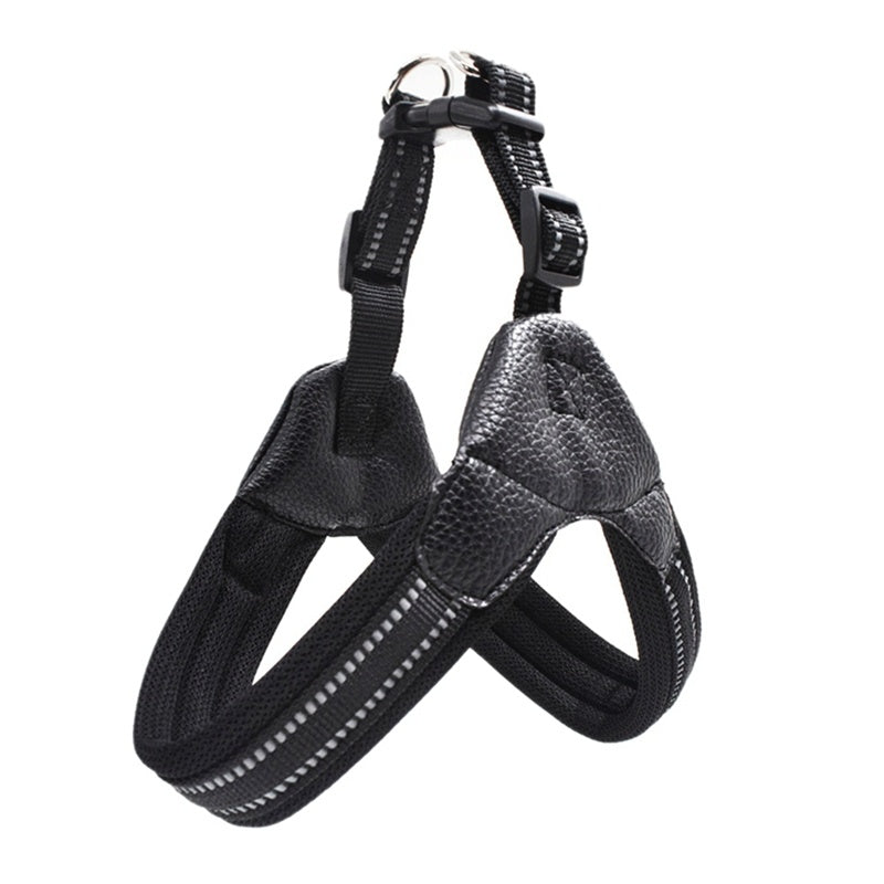 Durable Mesh Nylon Dog Harness in Various Sizes and Colors