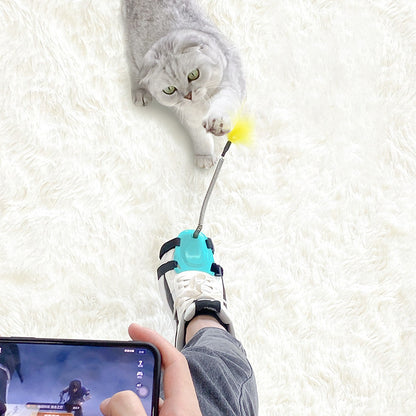 Relieve Pet's Anxiety with Multi-Functional Funny Cat Stick