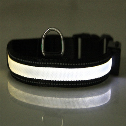 Solar Charging Pet Collar with LED Light | Adjustable Size for All Dogs