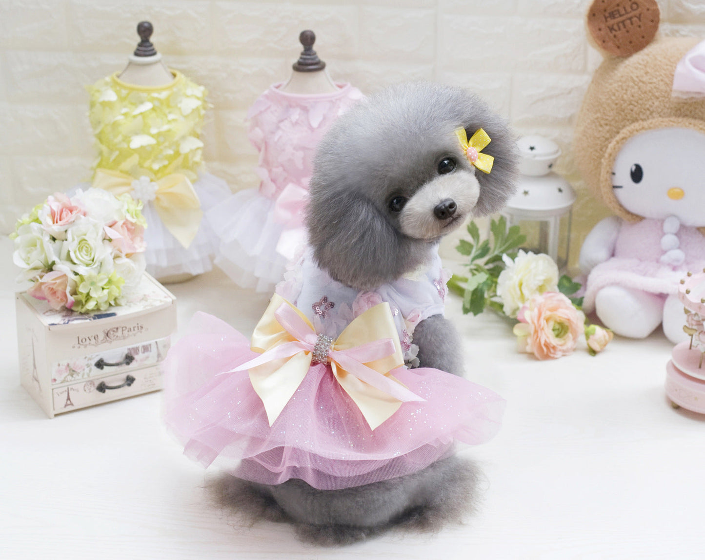 Adorable Teddy Dog Pet Dress