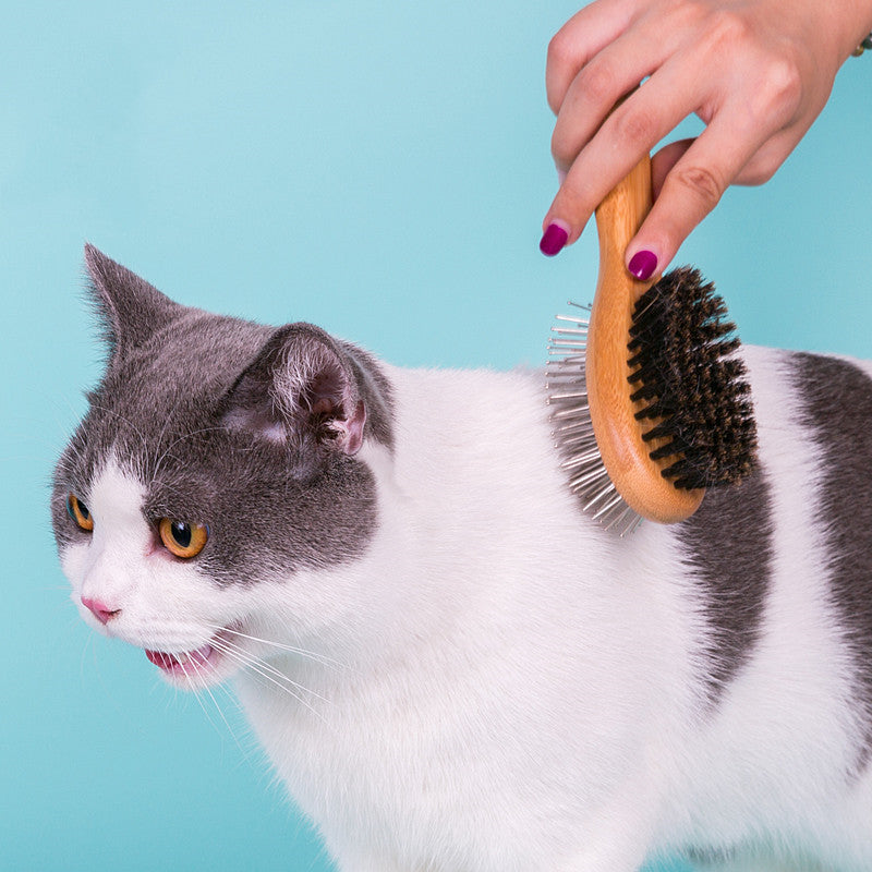 Comb Brush - Stainless Steel Double-Sided Brush Set for Pets