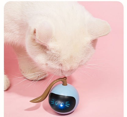 60G Fog Blue Magic Ball Smart Toy for Cats