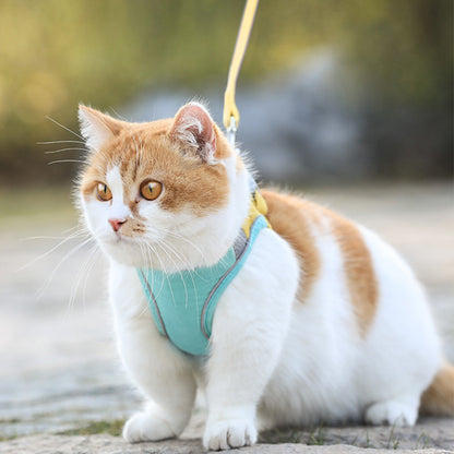 Fashionable Cat Harness