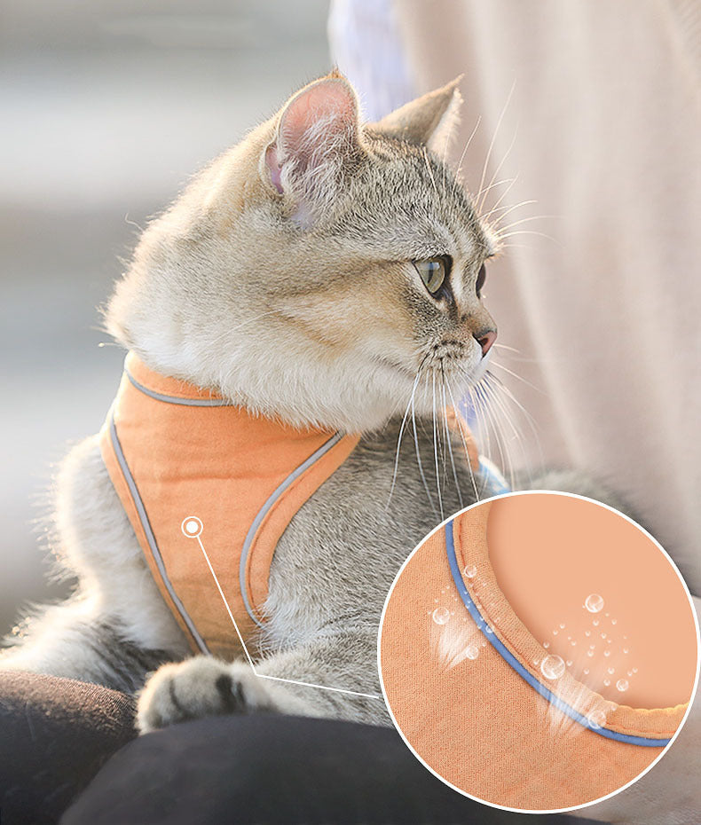 Waterproofing Cat Harness with Leash