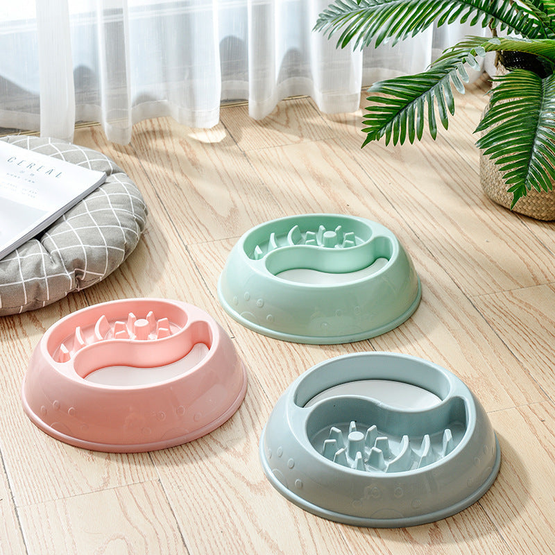 Anti-Choke Combination Bowl for Cats and Dogs in Blue, Pink or Green