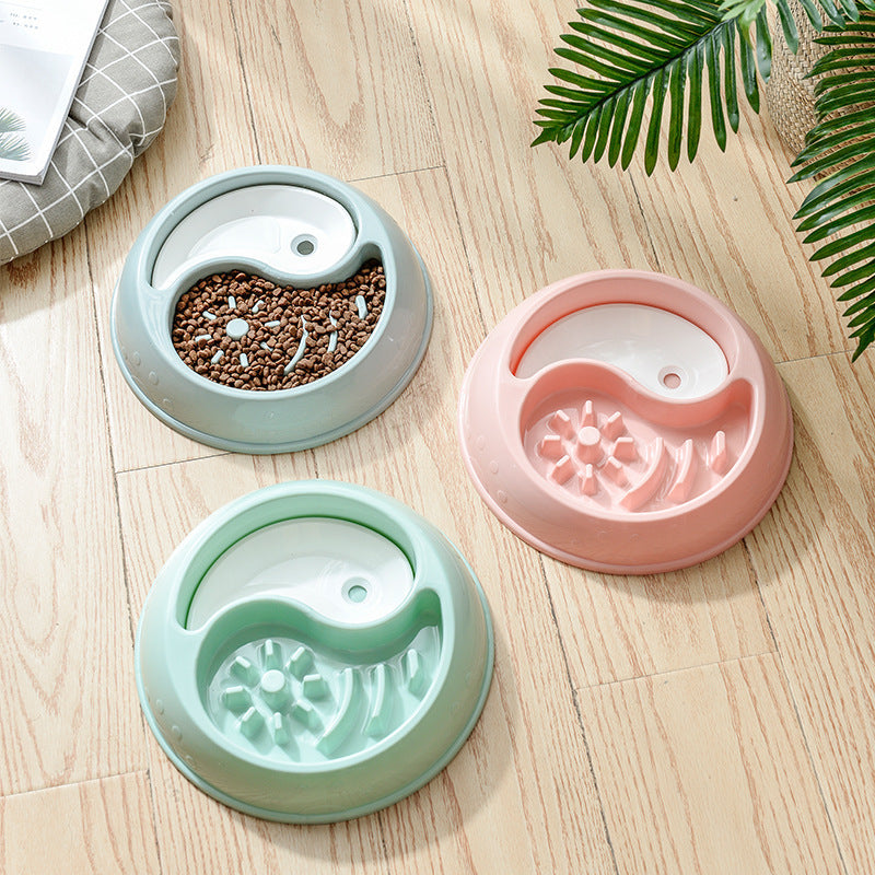 Anti-Choke Combination Bowl for Cats and Dogs in Blue, Pink or Green