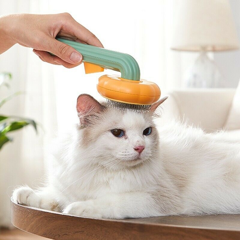 Slicker brush removing pet hair.