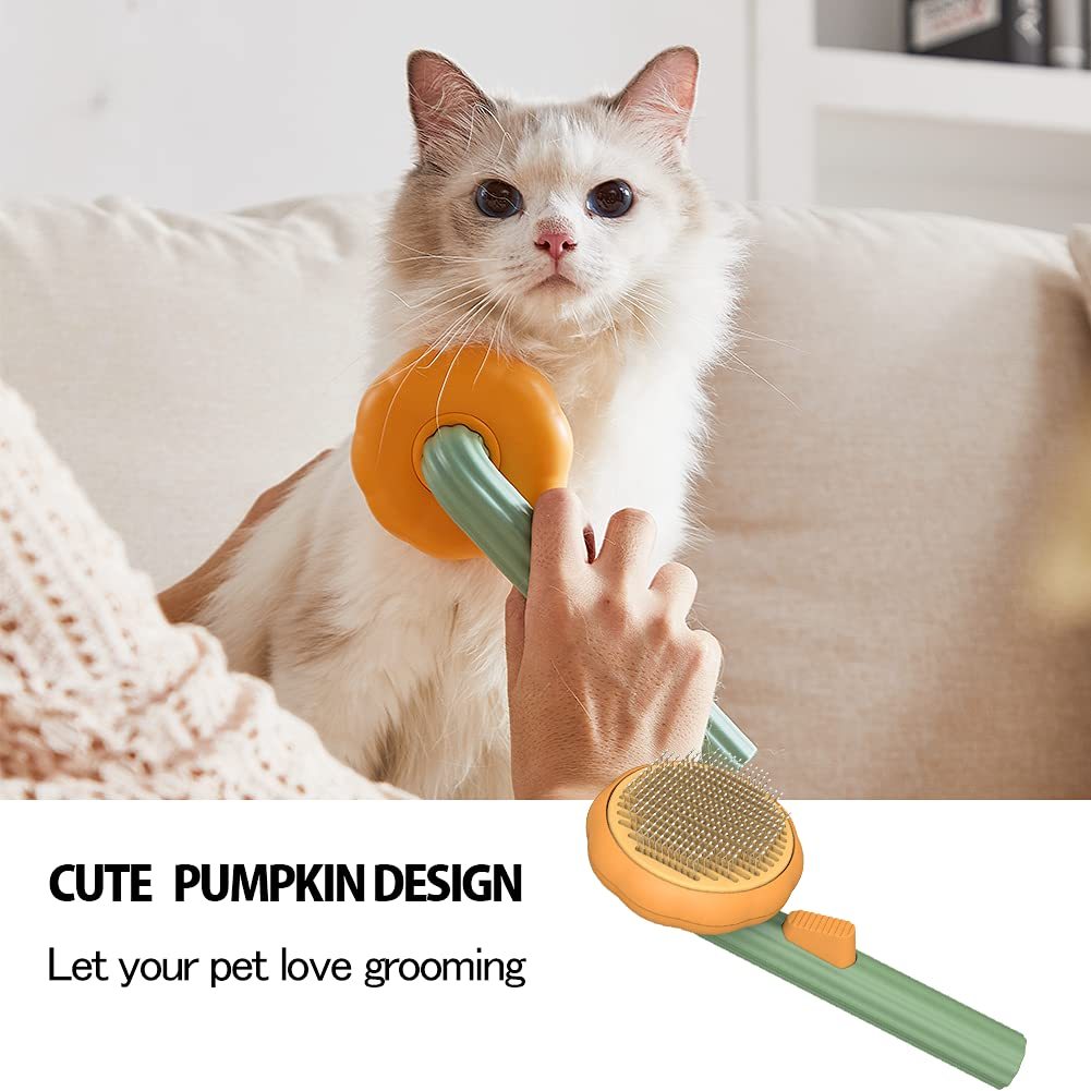 Grooming cat with a slicker brush