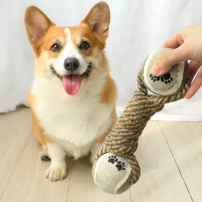 Playful puppy enjoying a cotton rope chew