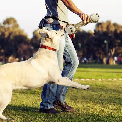 Interactive playtime with a cotton rope dog toy