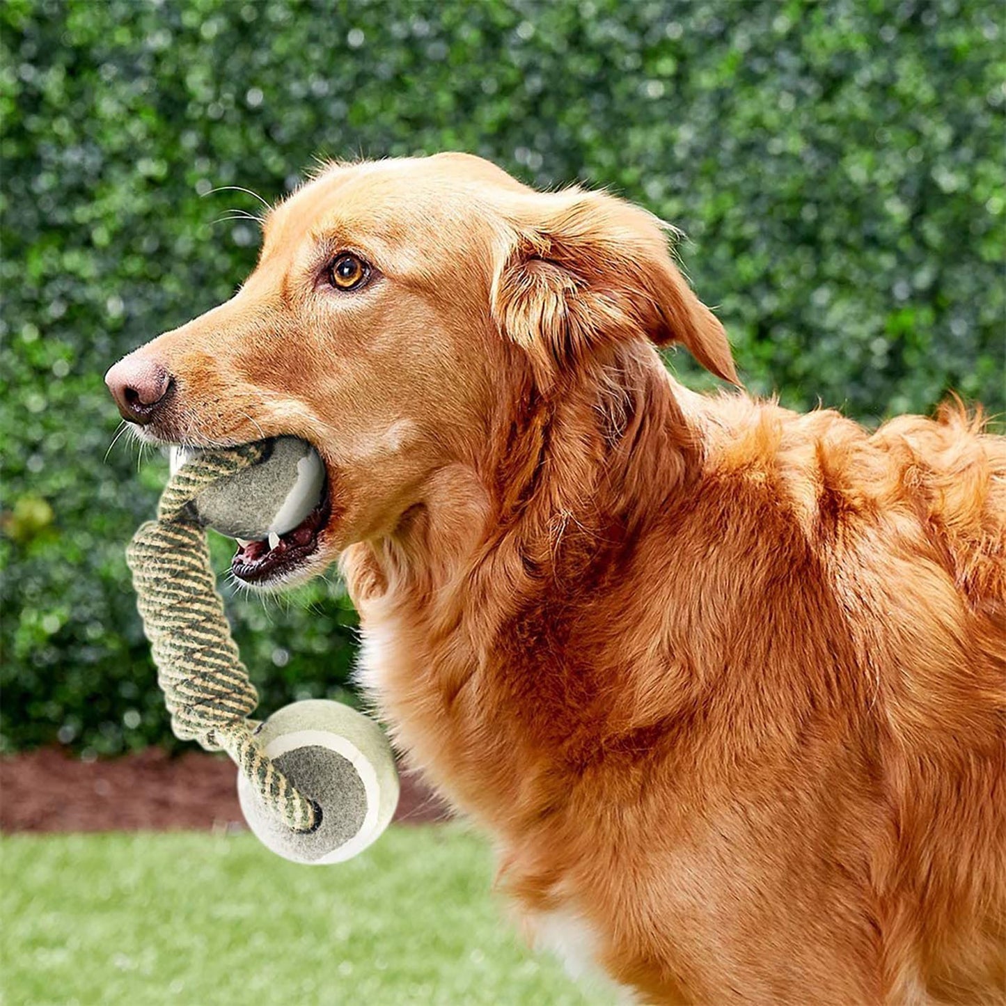 Non-toxic, high-quality cotton chew toy close-up