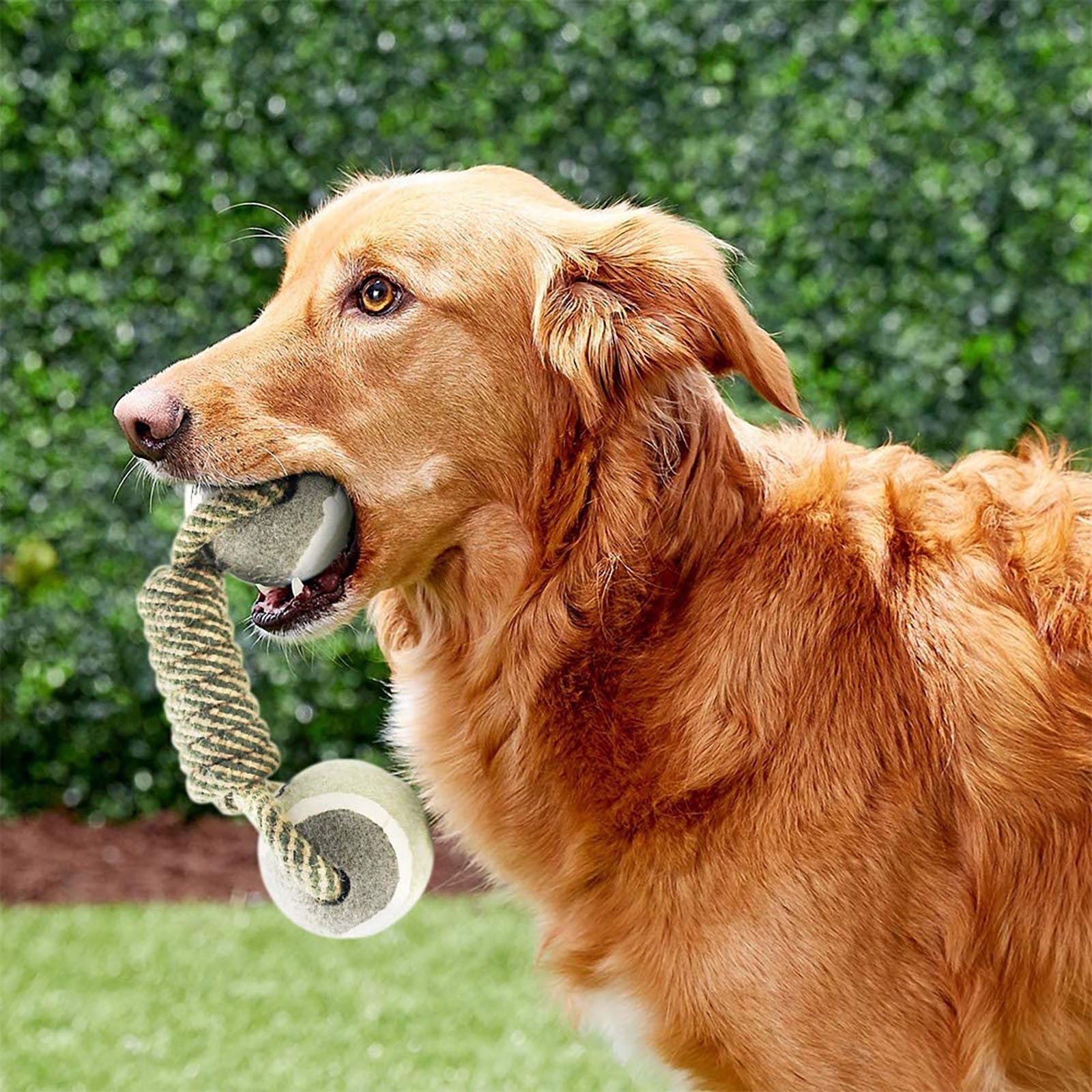 Non-toxic, high-quality cotton chew toy close-up