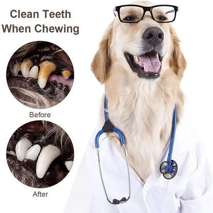 Dog's teeth being cleaned by cotton chew toy