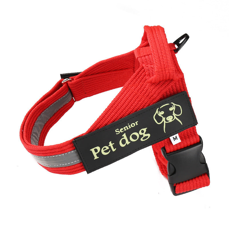 Durable Nylon Dog Leash & Harness: Multiple Colors & Sizes