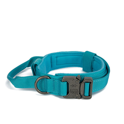 Monochrome Dog Collar - Red, Cyan, Black, Pink