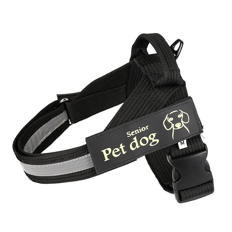 Durable Nylon Dog Leash & Harness: Multiple Colors & Sizes