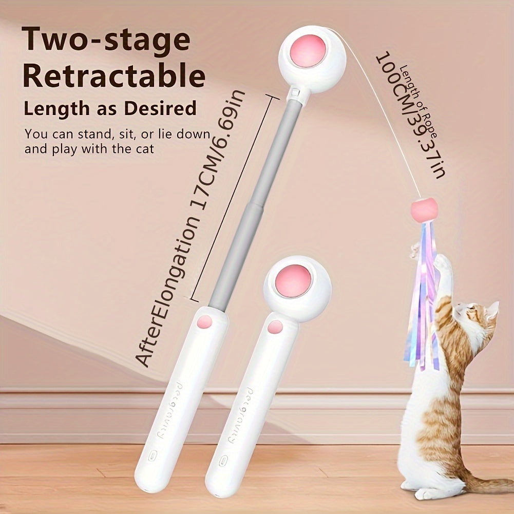 Retractable Cat Teaser Wand with Feather Toy