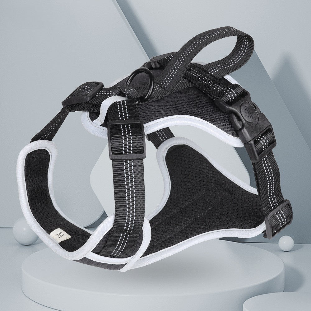 Explosion Proof Big Dog Harness with Handheld Leash