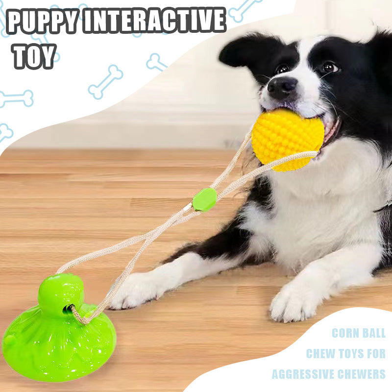 Suction cup dog toy for interactive tug-of-war.