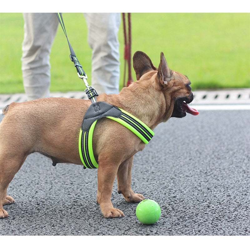 Durable Mesh Nylon Dog Harness in Various Sizes and Colors