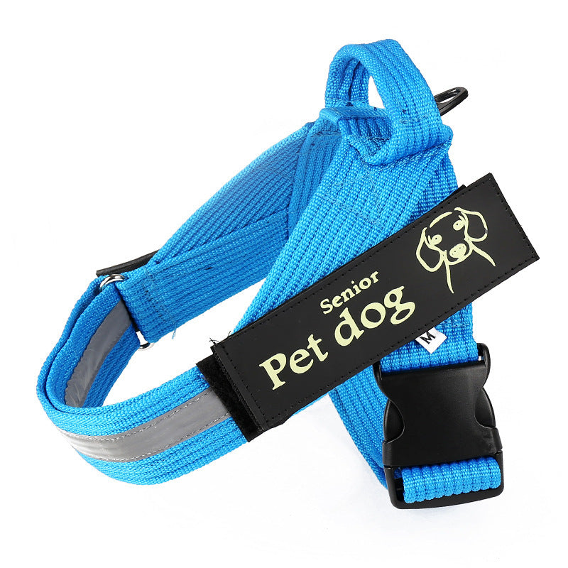 Durable Nylon Dog Leash & Harness: Multiple Colors & Sizes