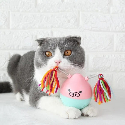 Rubber Cat Toy Kit for Safe and Fun Playtime